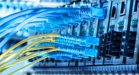 Digital Transformation for Immigration Consultancy